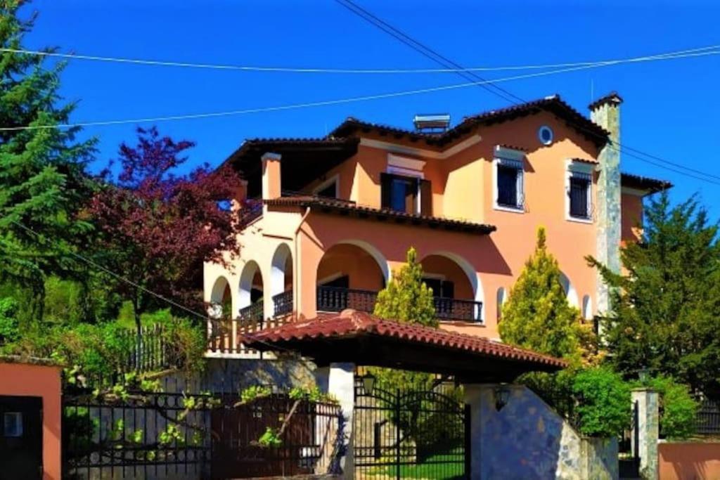 Villa Tethys Mountain Resort Zákas Extérieur photo