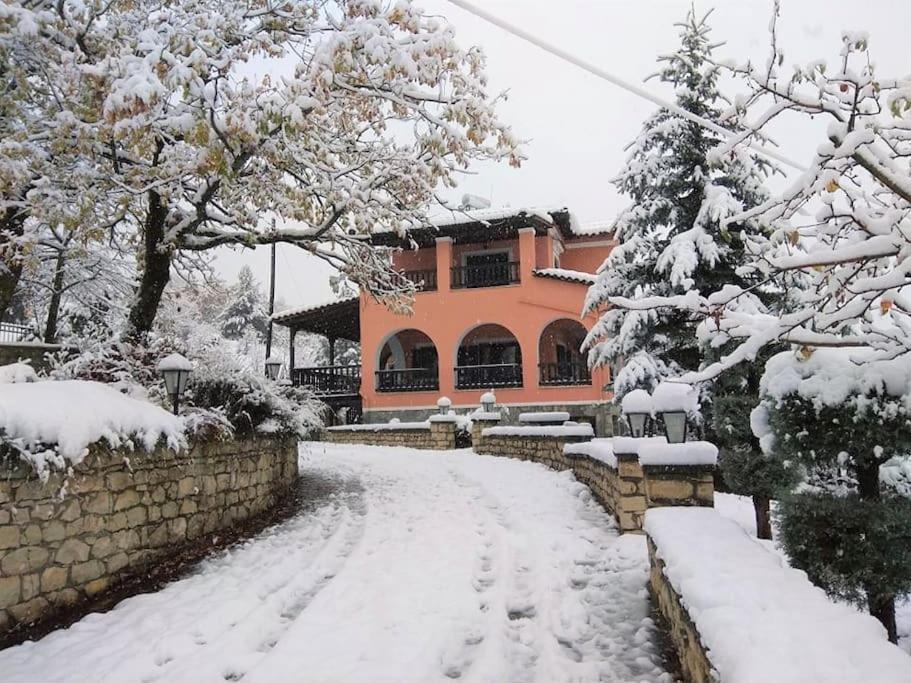 Villa Tethys Mountain Resort Zákas Extérieur photo